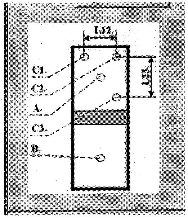 Measurement and image processing device applied to trunk of back