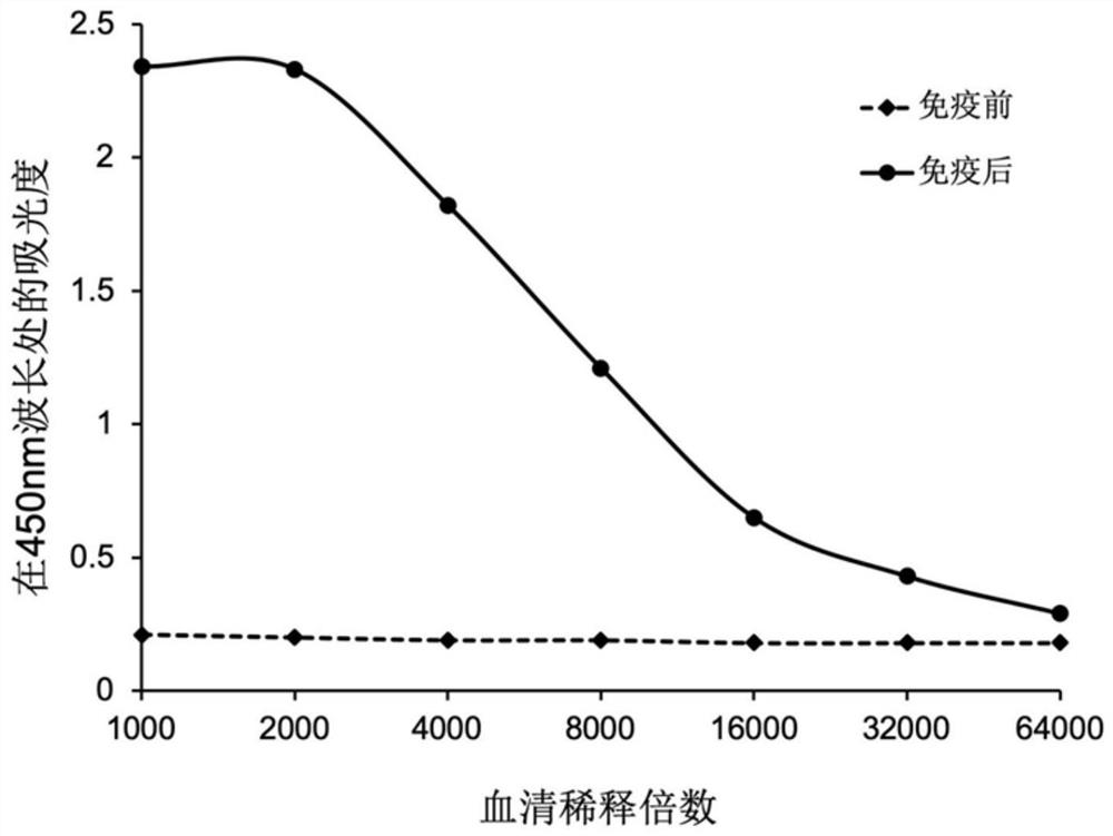 A h1n1 influenza virus antibody and its application in ultra-trace detection of h1n1 virus