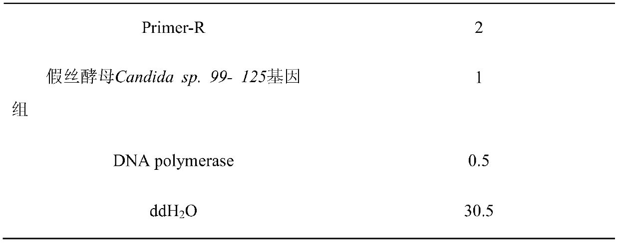 Construction method of Pichia pastoris genetic engineering strain producing lipase