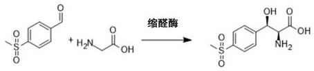 Method for synthesizing 2S,3R-p-methylsulfonephenylserine
