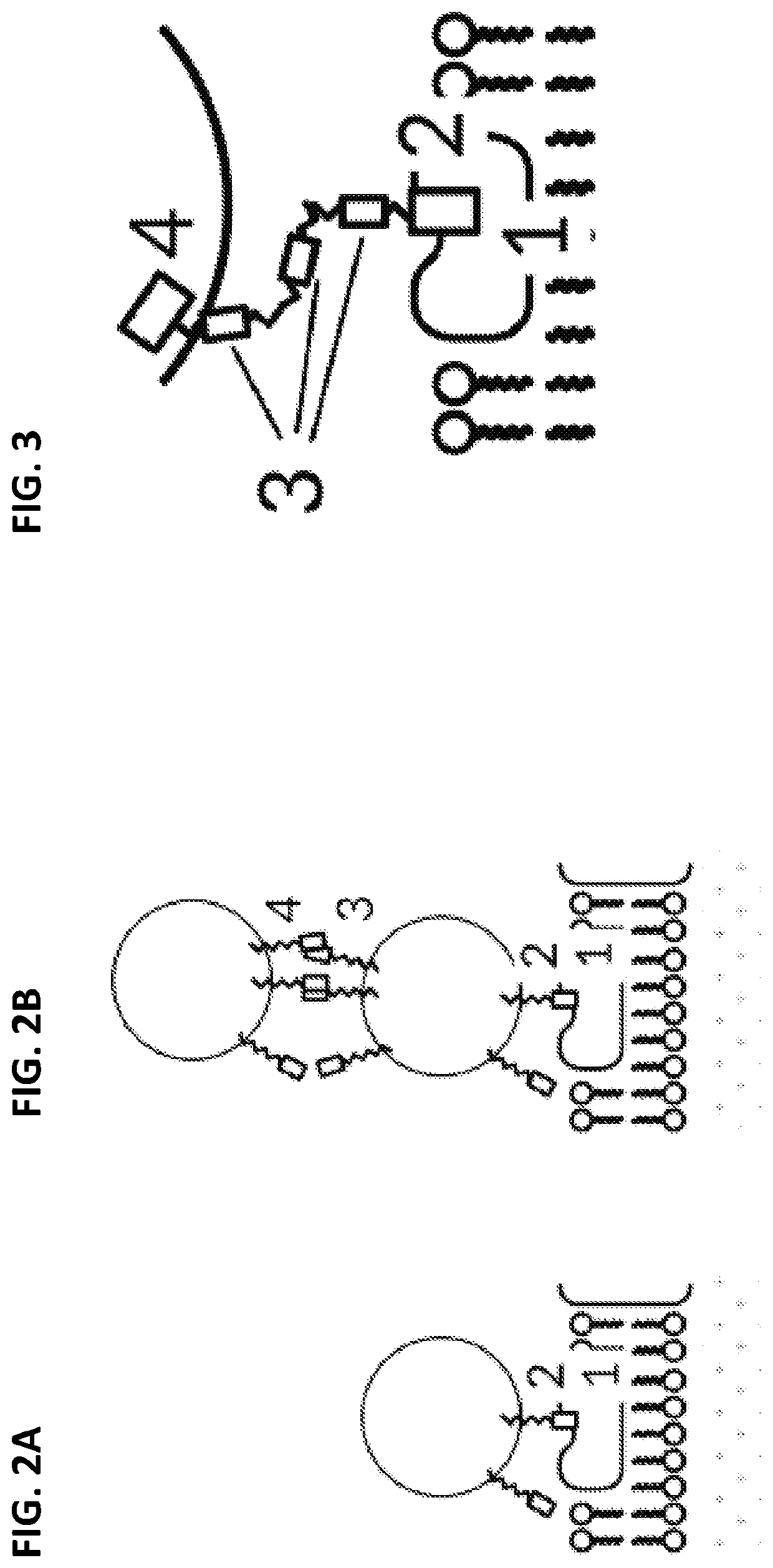 Biological computing systems and methods for multivariate surface analysis and object detection