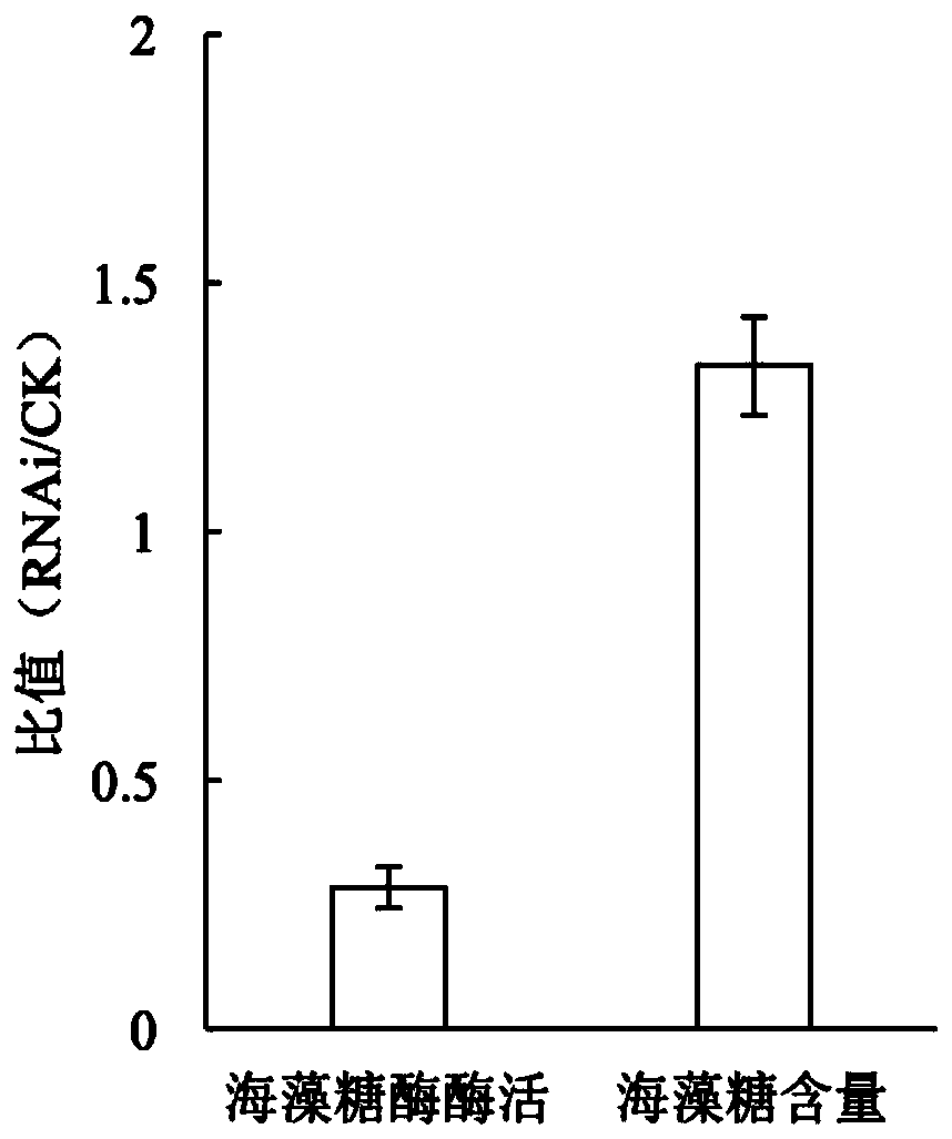 Trehalase gene Bx-tre1 and application thereof