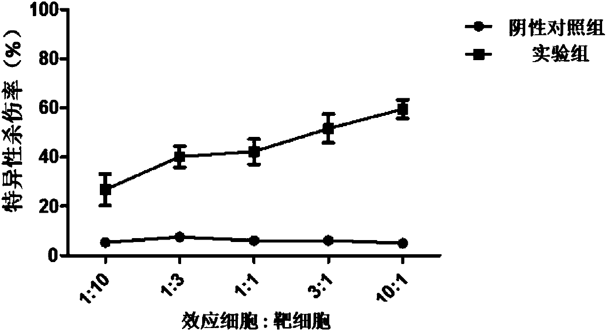 PD1-knockout chimeric antigen receptor T cell targeting HER2, preparation method and application thereof