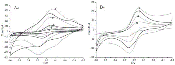 A preparation method of an aptamer sensor for detecting antibiotic residues