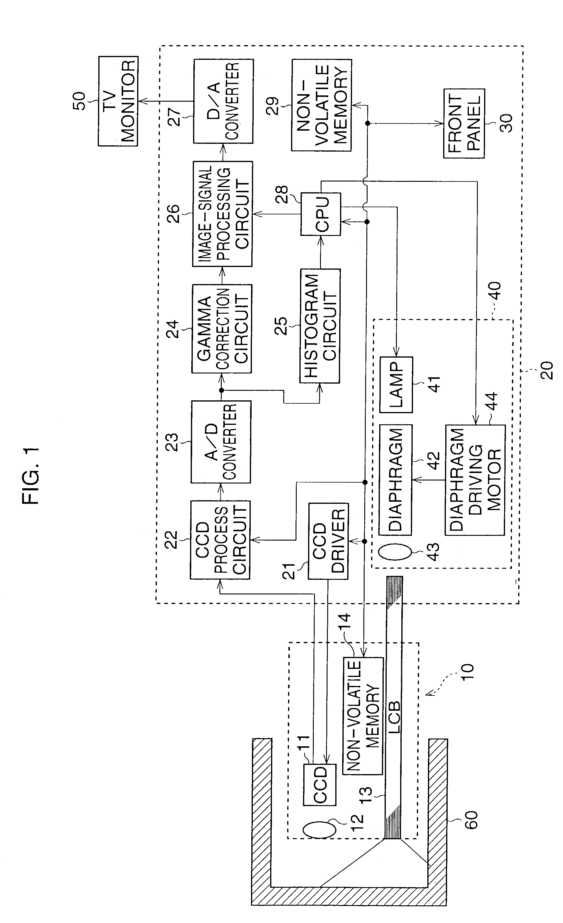 Automatic gain control device for electronic endoscope