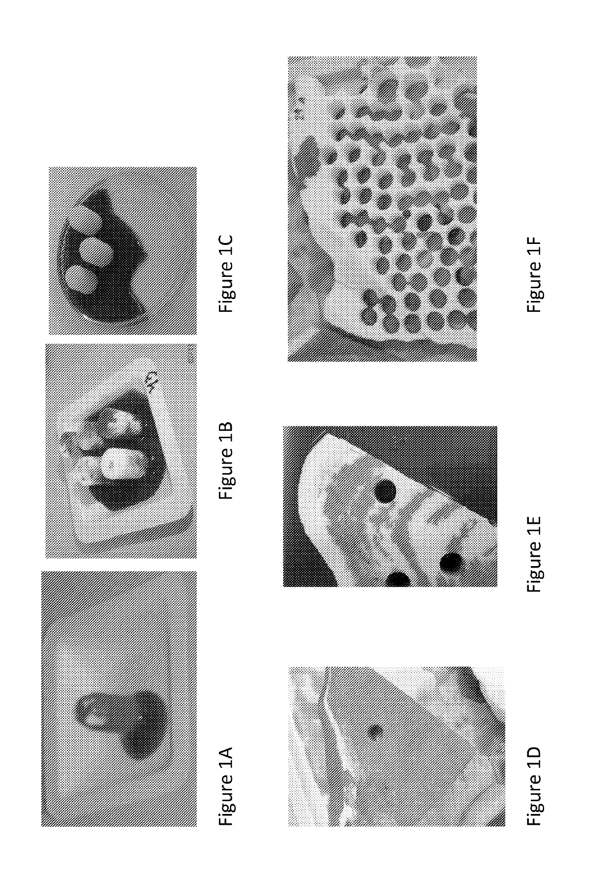 Biomatrix hydrogels and methods of use thereof