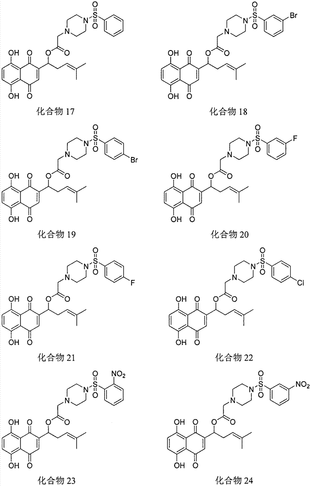 Shikonin piperazine acid ester derivatives as well as synthetic method and application thereof