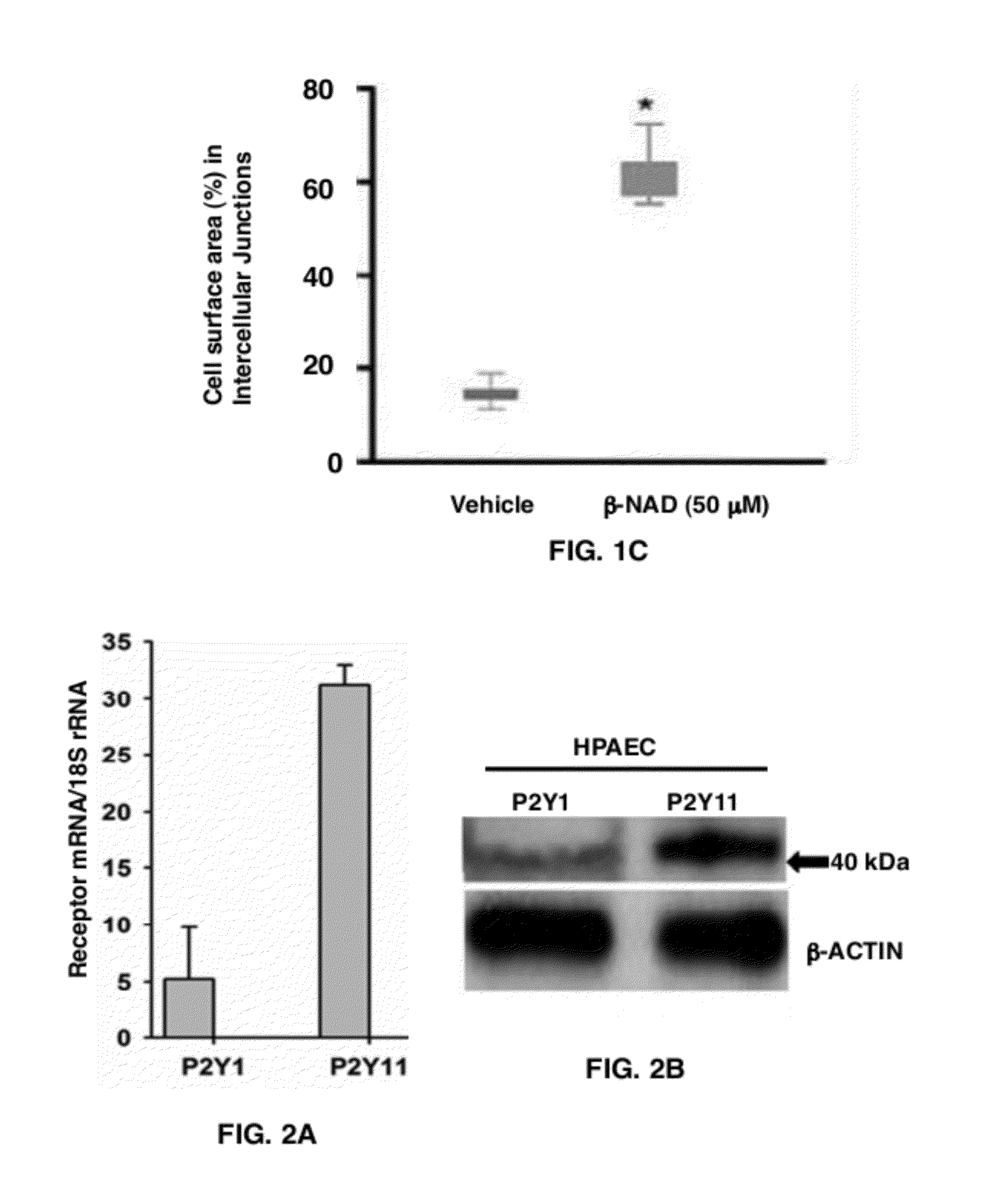 Uses of Beta-Nicotinamide Adenine Dinucleotide