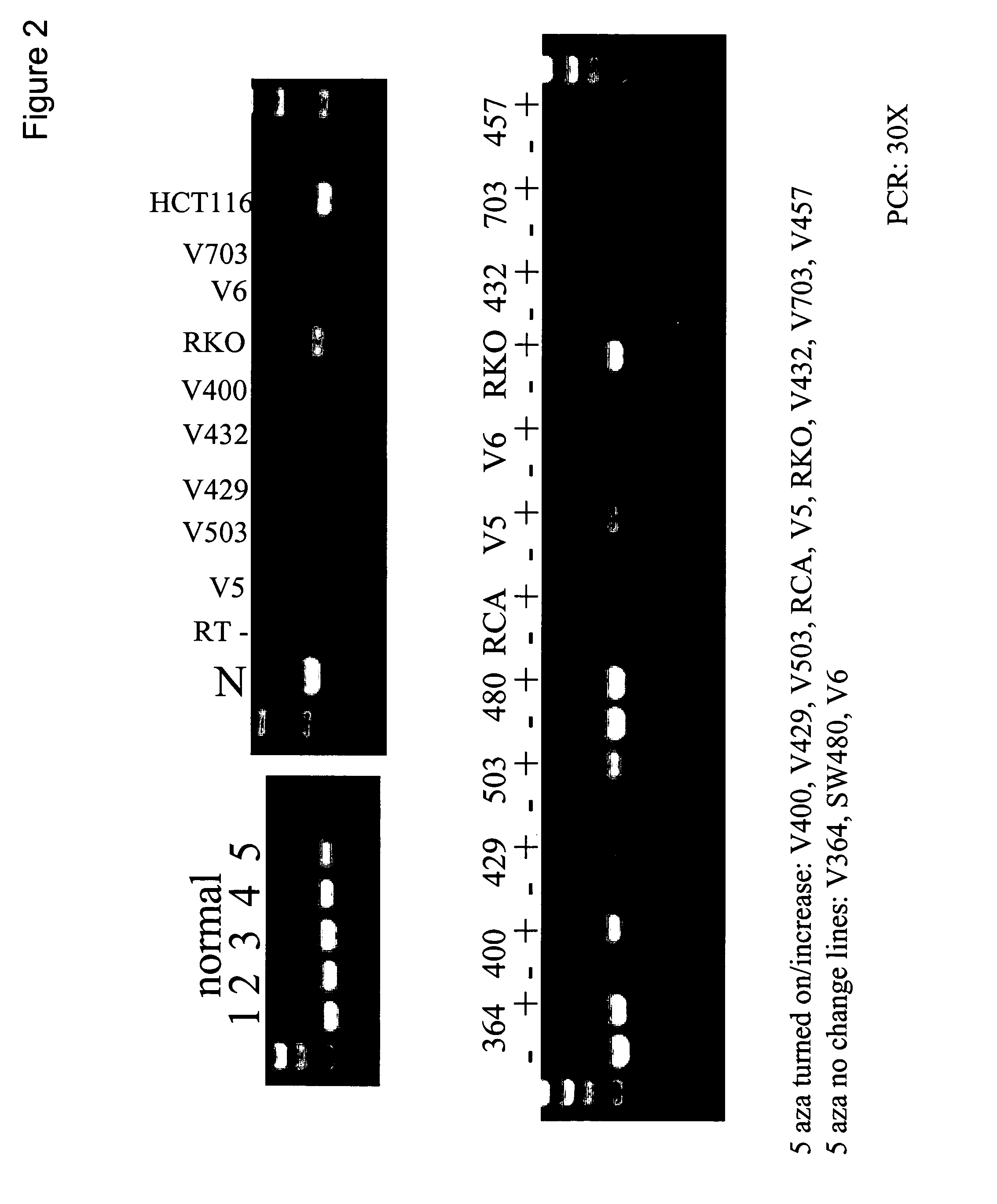 Methods and compositions for detecting colon cancers