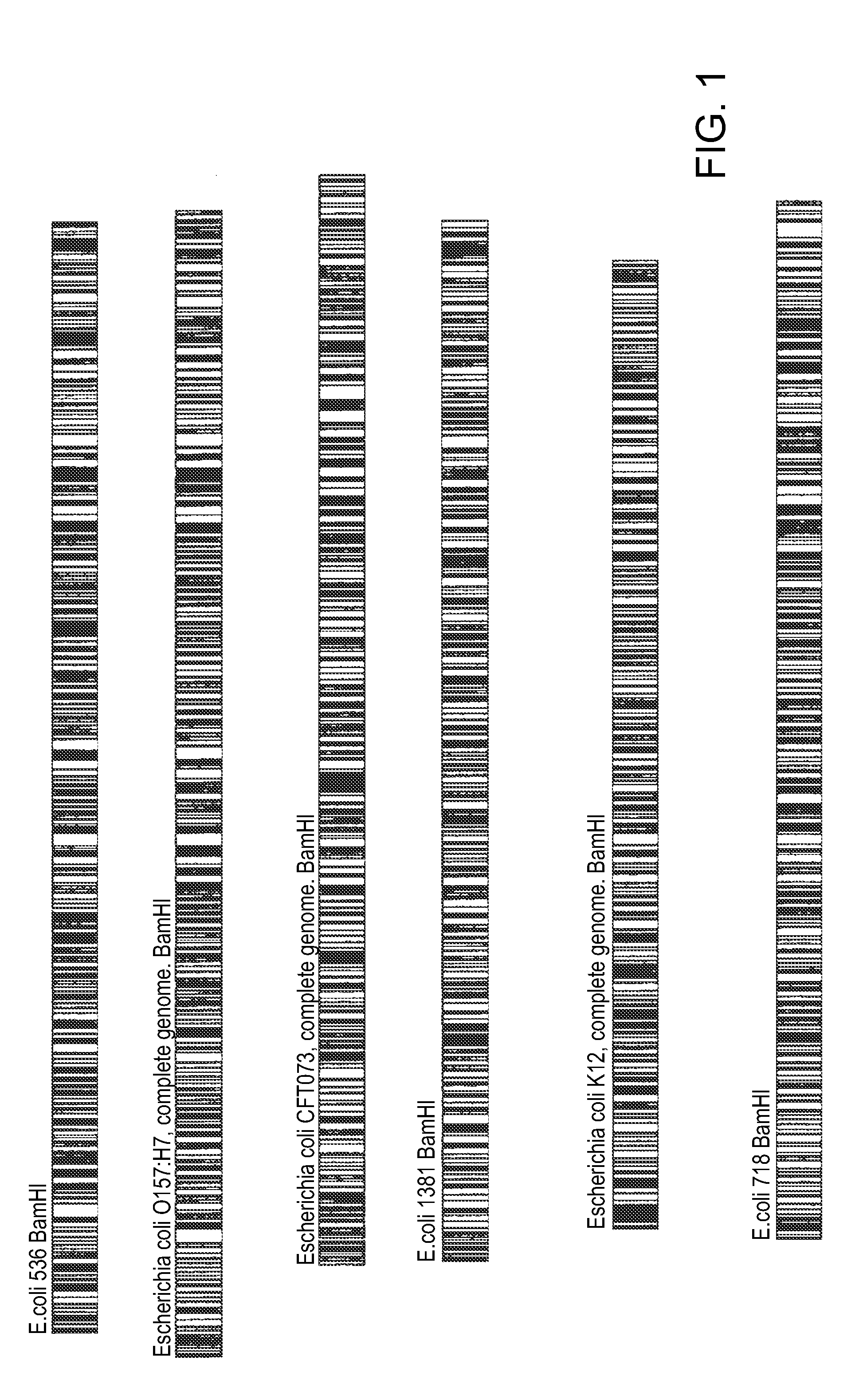 Methods of identifying an organism