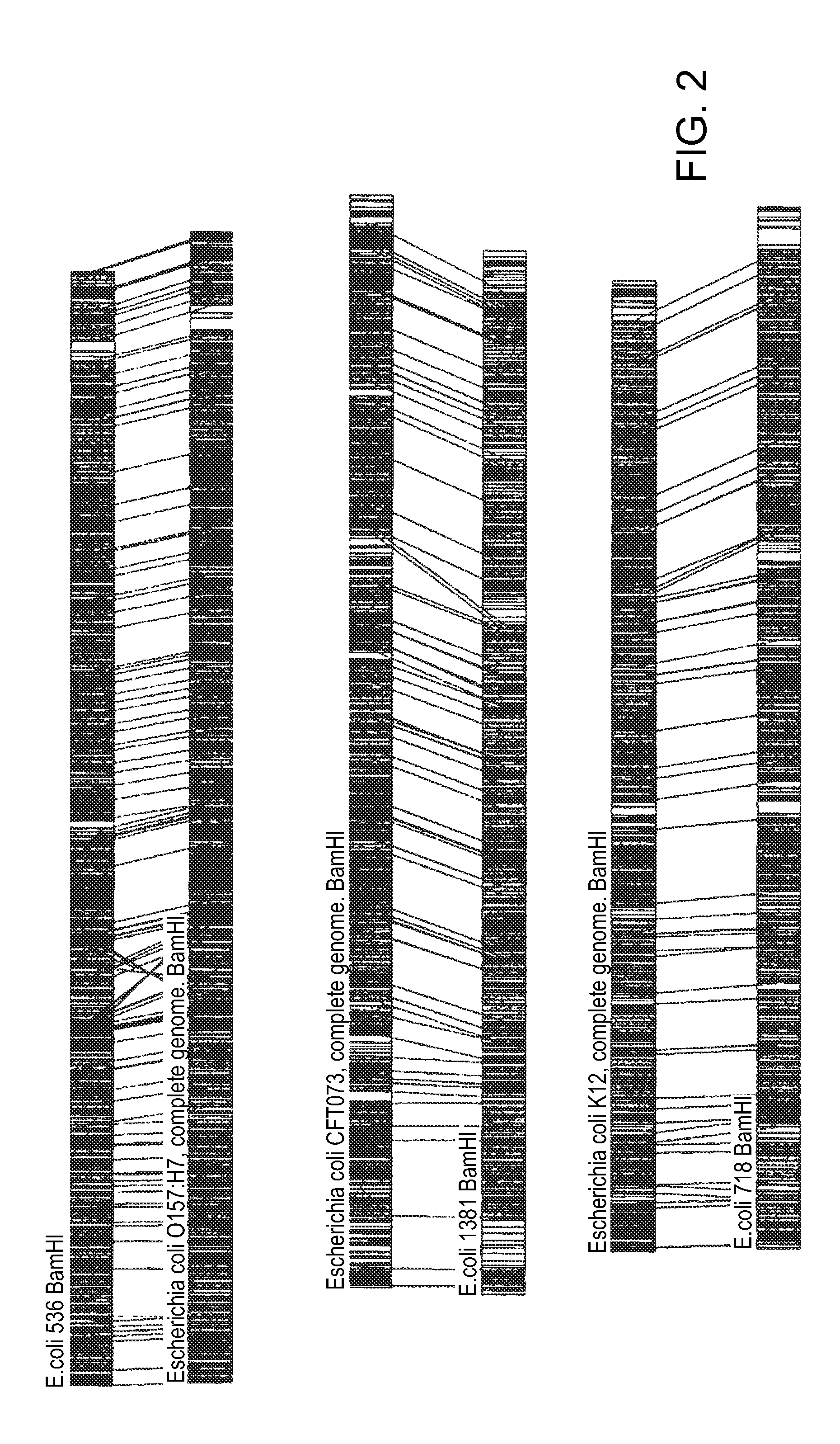 Methods of identifying an organism