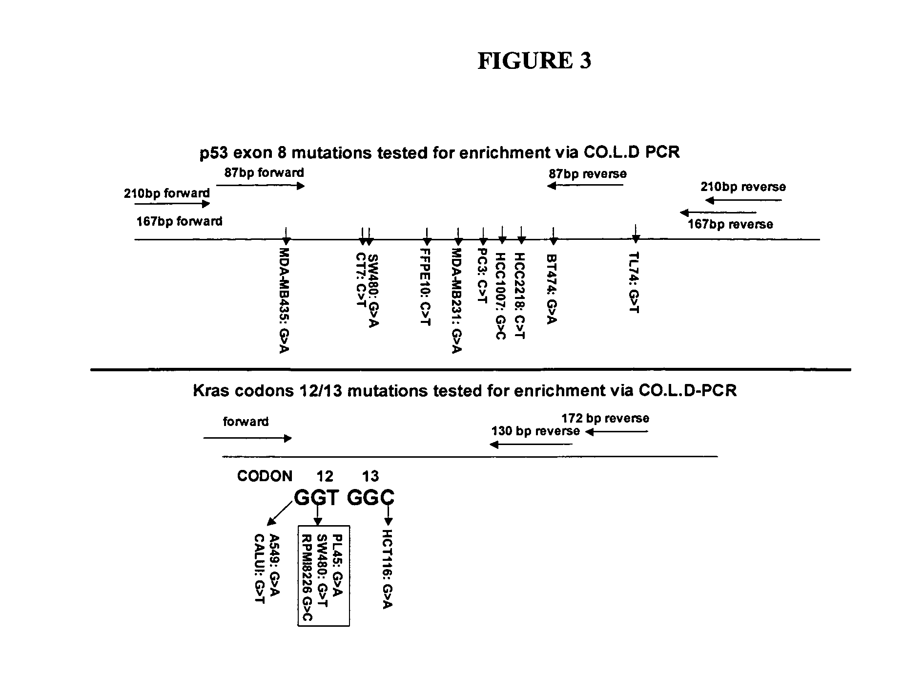 Enrichment of a target sequence
