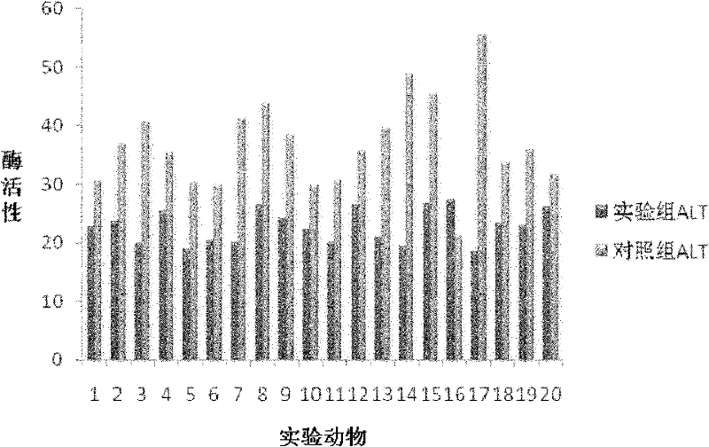 Liver-protecting composite and preparation method thereof