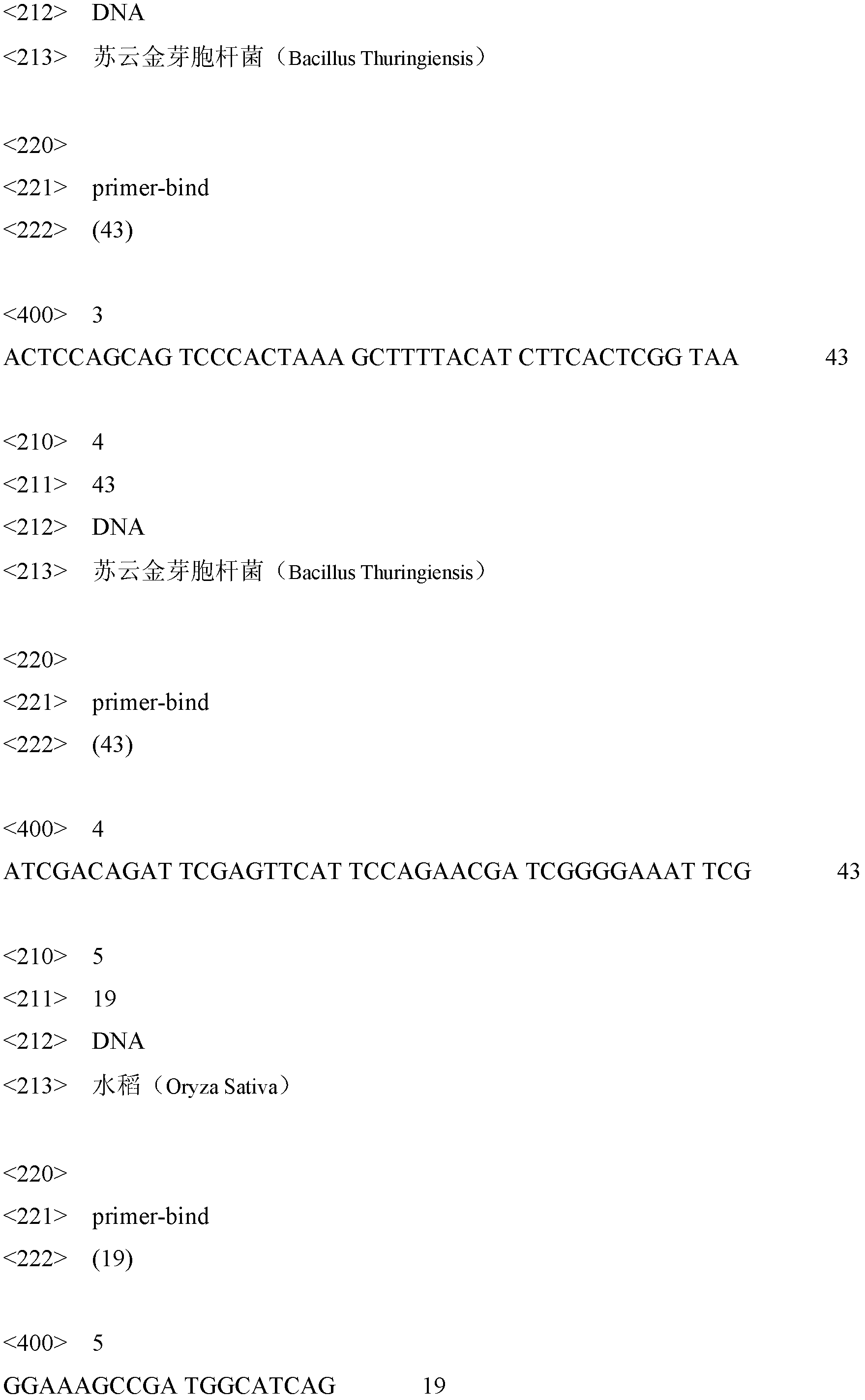 Transgenic rice Bt63 detection kit and detection method thereof