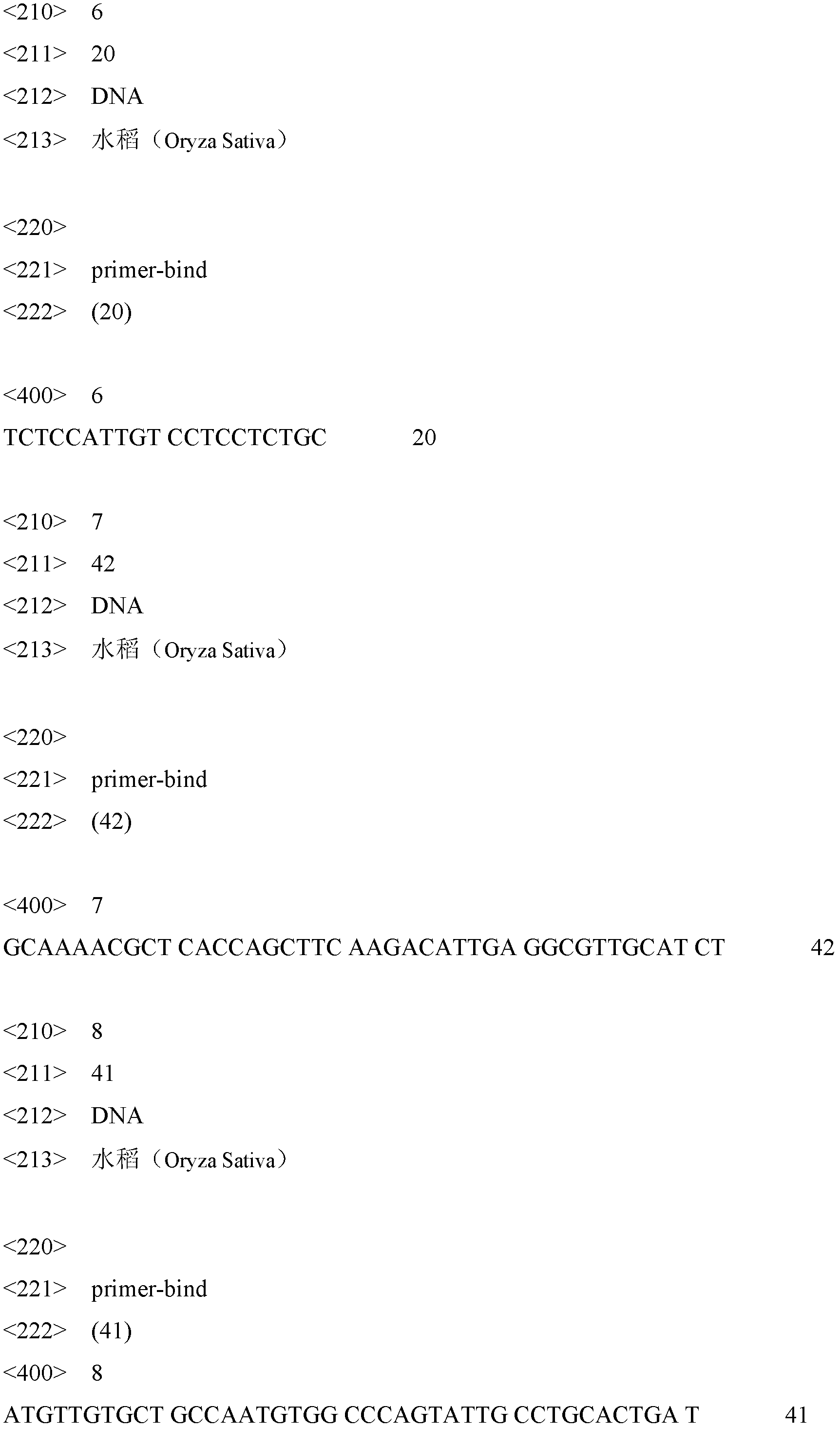 Transgenic rice Bt63 detection kit and detection method thereof