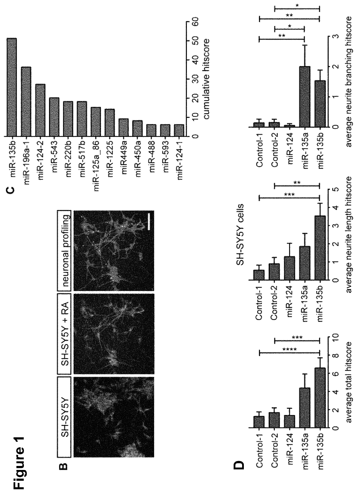 MiRNA molecule, equivalent, antagomir, or source thereof for treating and/or diagnosing a condition and/or a disease associated with neuronal deficiency or for neuronal (re)generation