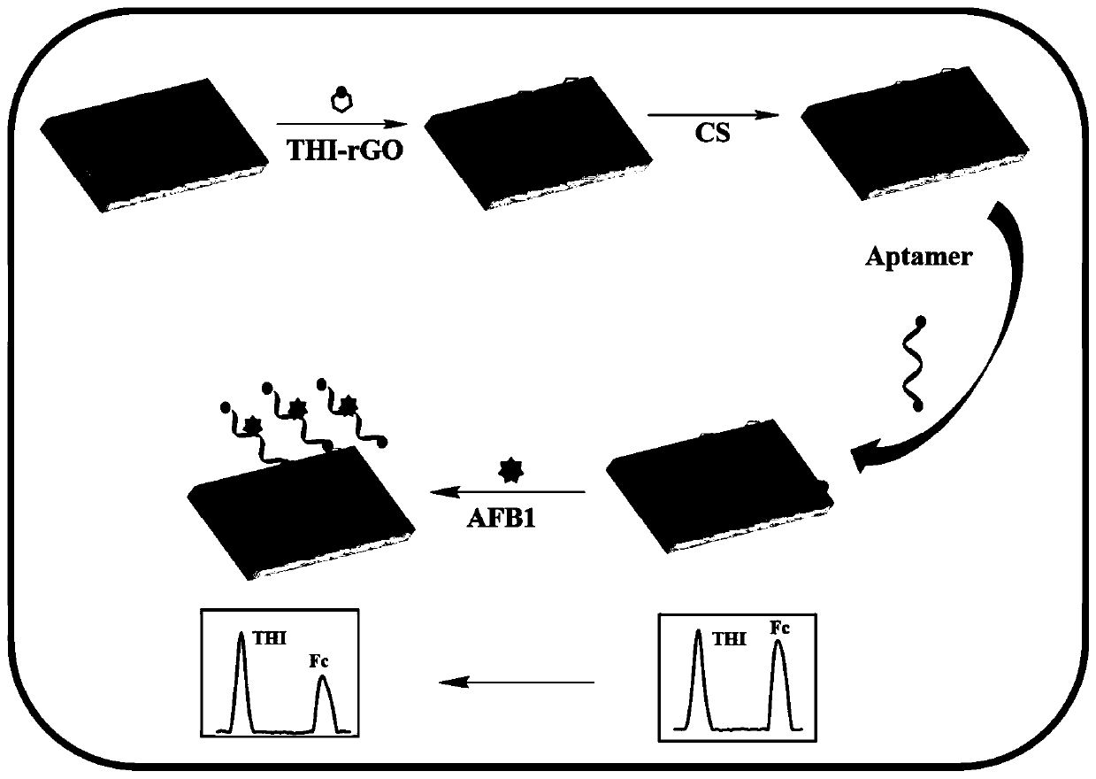 Preparation method for ratio electrochemical biosensor for detecting aflatoxin B1
