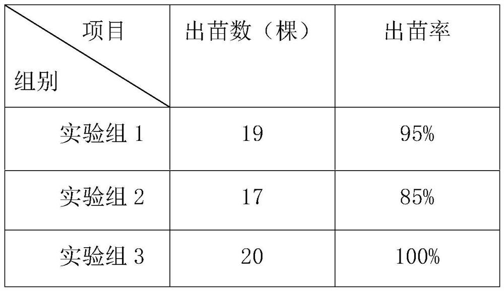 Binder for rice breeding and preparation method of binder