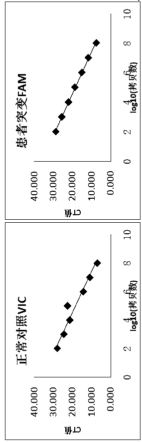 Method for detecting single cell mitochondrial copy number