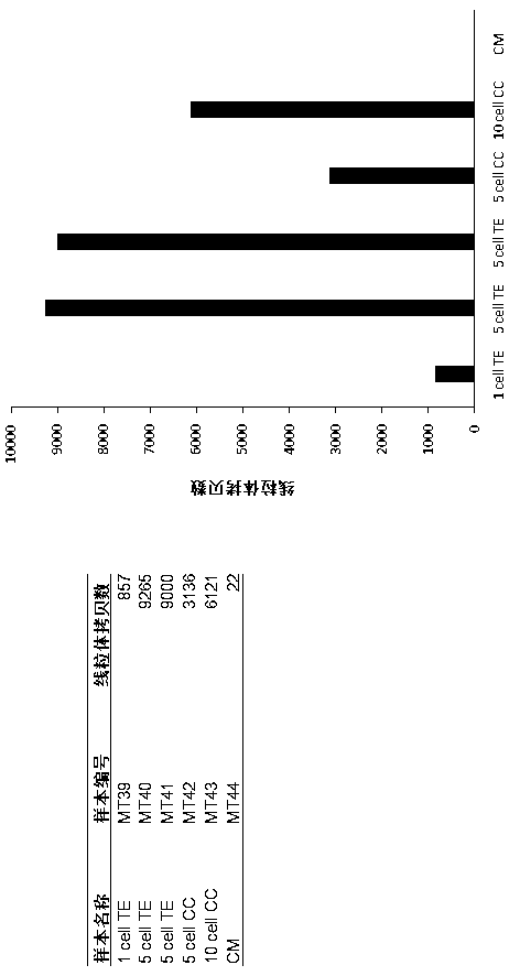Method for detecting single cell mitochondrial copy number