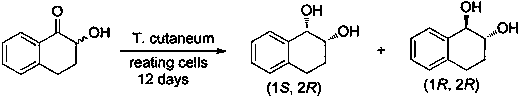 Method for efficiently synthesizing (1R,2S)-1,2-dialin derivative