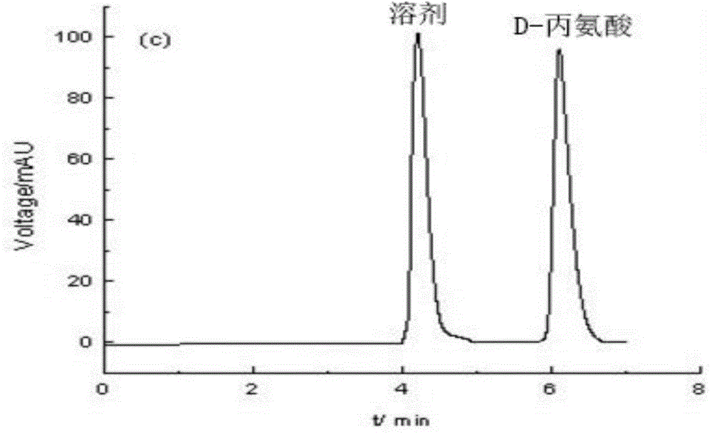 Gene for coding alanine isomerase and application of gene