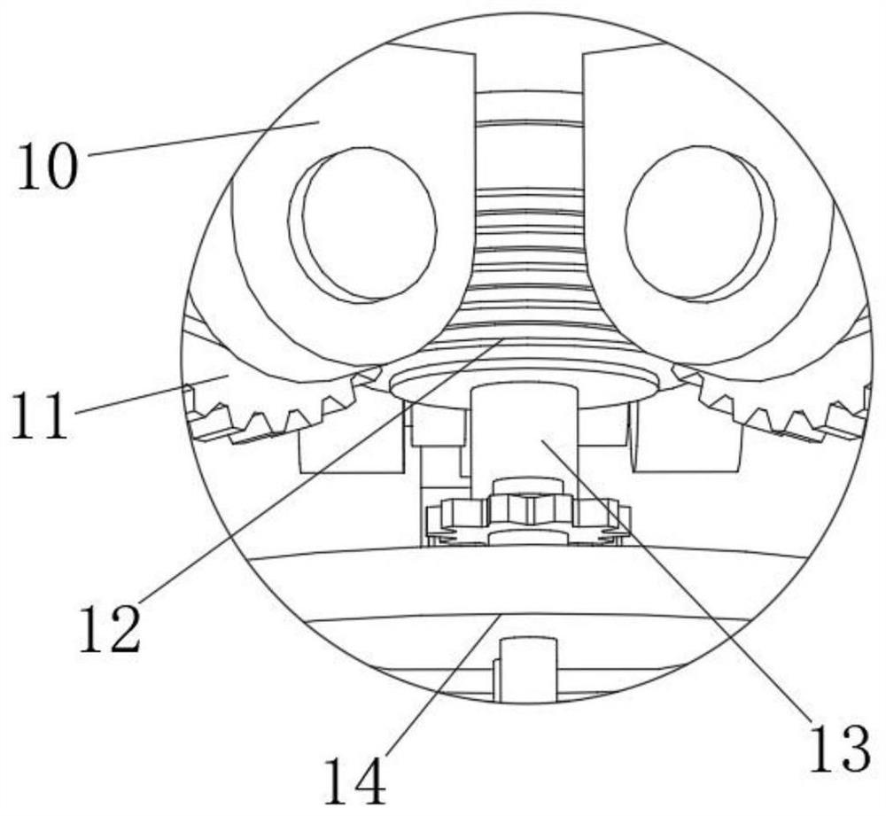 Kiwi fruit peeling, denucleating and sectioning integrated device capable of rapidly processing