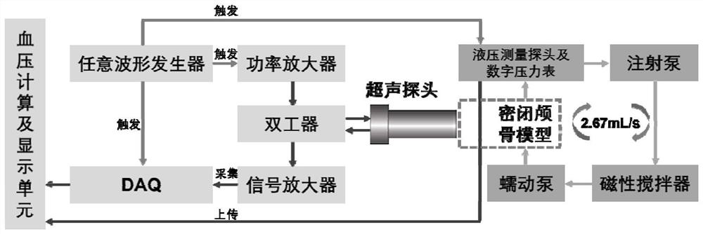 Non-invasive transcranial ultrasound blood pressure measurement device and method based on sonovue