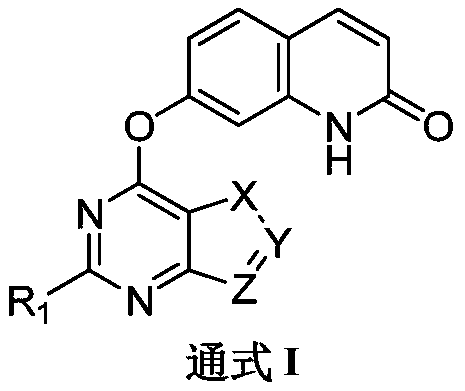 Quinolinone-containing pyrimido five-membered heterocyclic compound, preparation method and application thereof