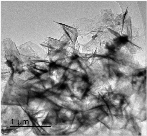 Tin niobate nanosheet, preparation method thereof and application of tin niobate in preparation of lithium battery