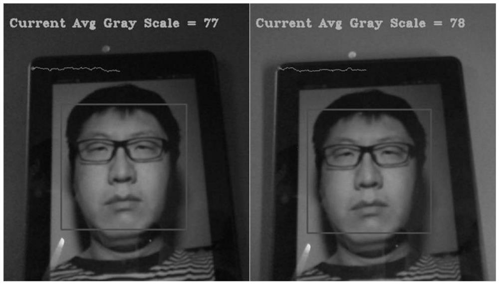 Biometric video playback attack detection method based on gray scale change