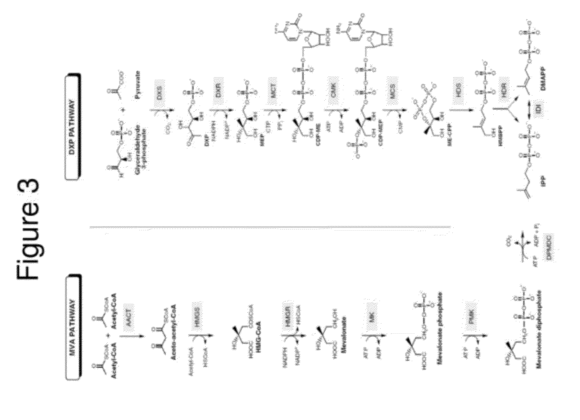 Compositions and methods for improved isoprene production using two types of ISPG enzymes