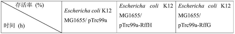 Escherichia coli engineering bacterium with high acid stress resistance and application