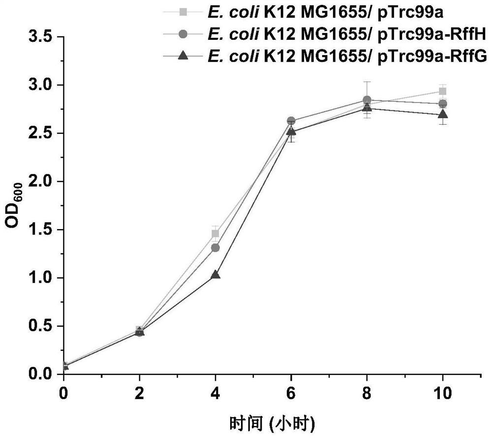 Escherichia coli engineering bacterium with high acid stress resistance and application
