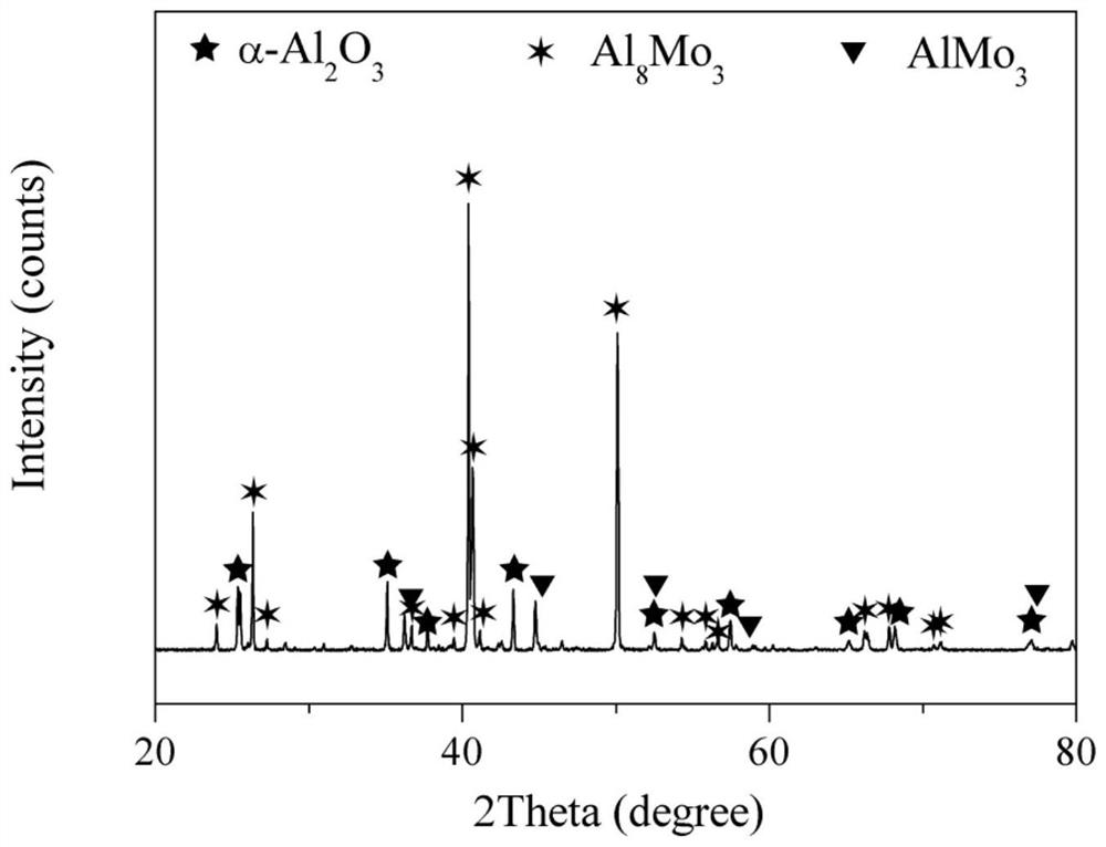 Ablation-resistant and corrosion-resistant protective coating on surface of molybdenum metal mold core and preparation method