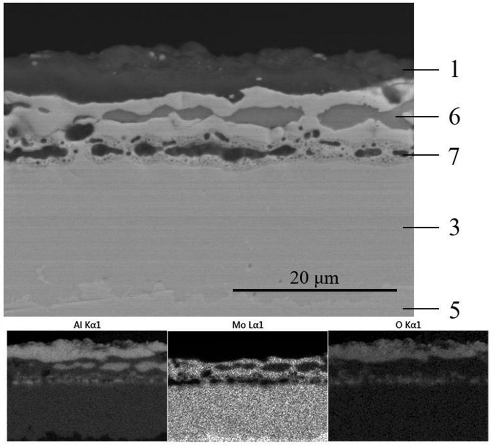 Ablation-resistant and corrosion-resistant protective coating on surface of molybdenum metal mold core and preparation method