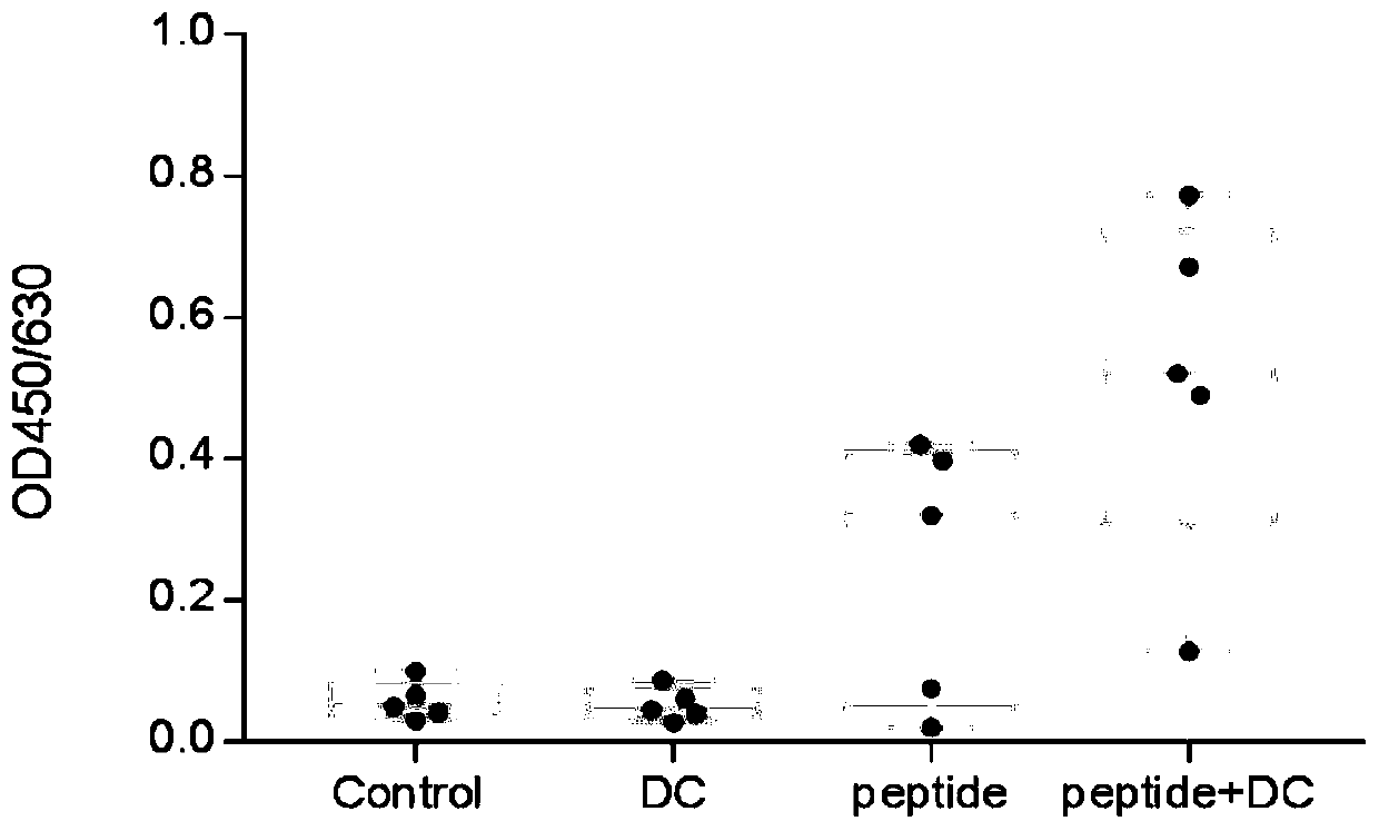 Epstein-Barr (EB) virus related antigen short peptide and application thereof