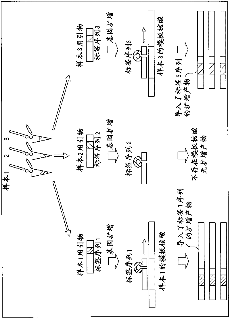 Sample analysis method and assay kit for use in the method