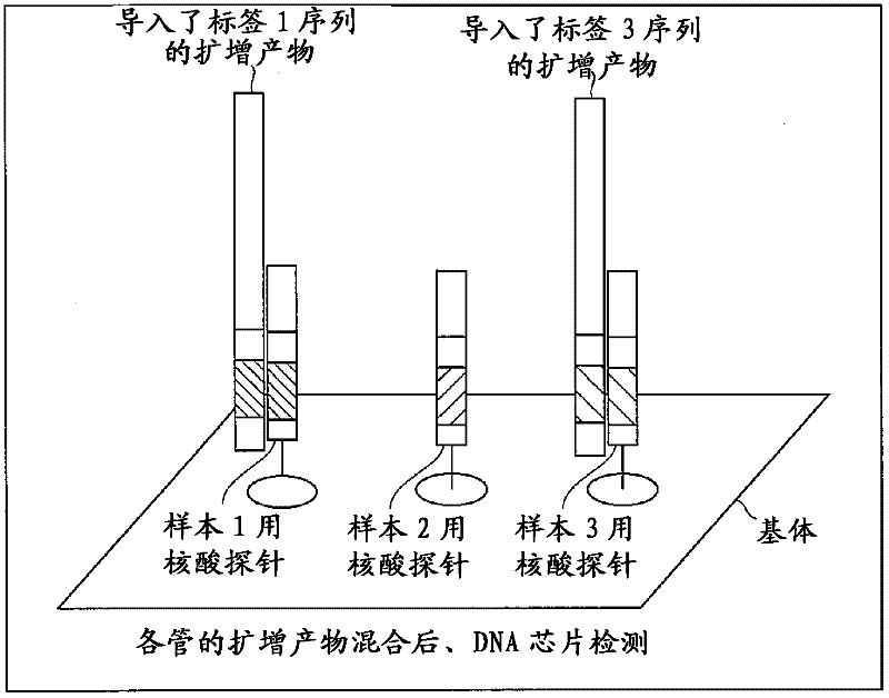 Sample analysis method and assay kit for use in the method