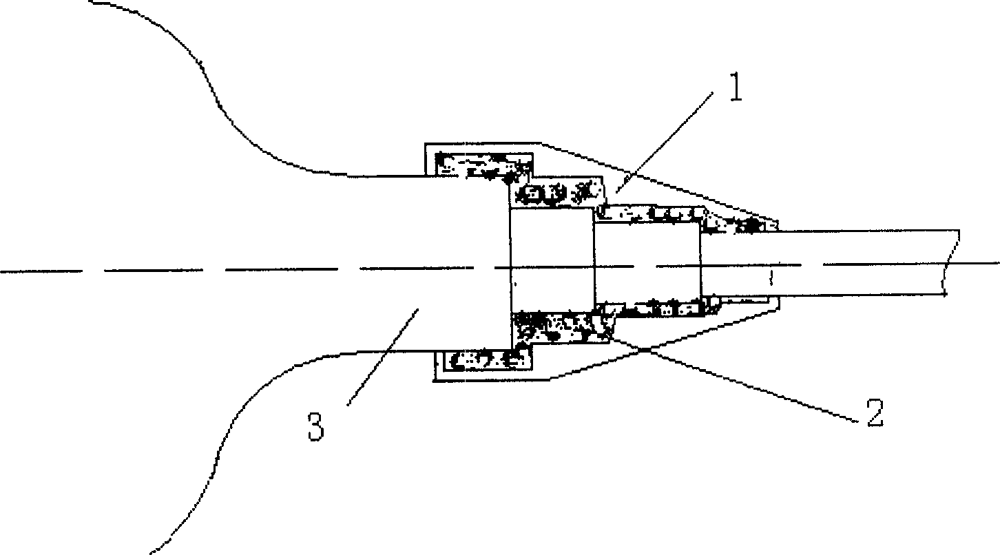 Long-acting preserving and sealing protection method
