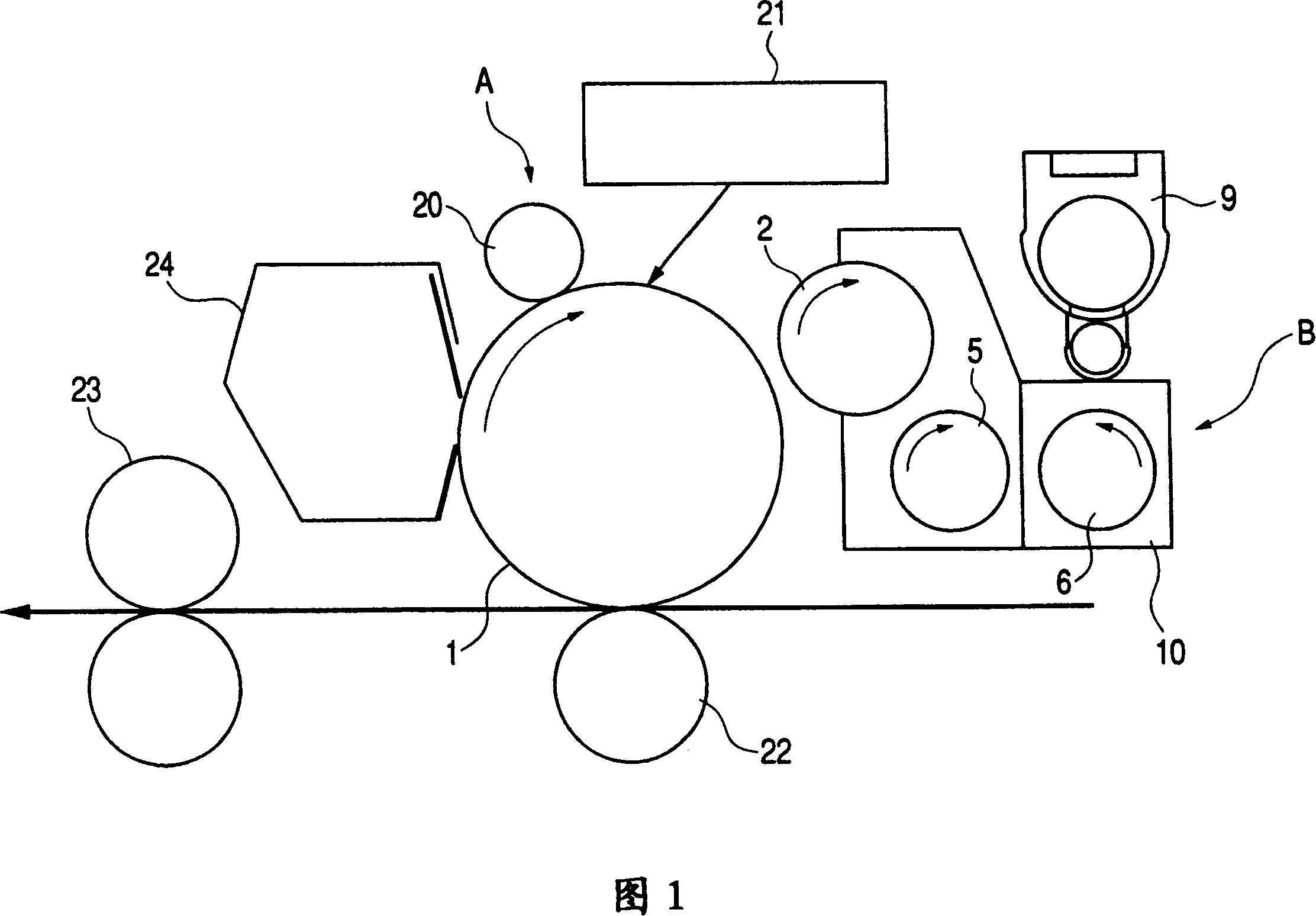 Developing apparatus with developer transporting screw