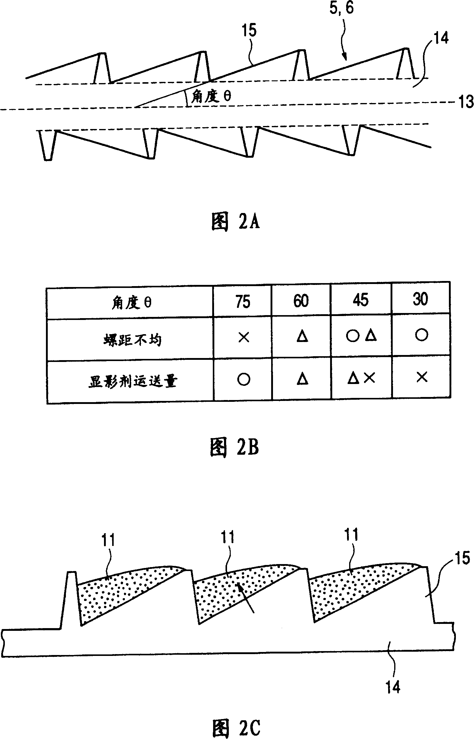 Developing apparatus with developer transporting screw