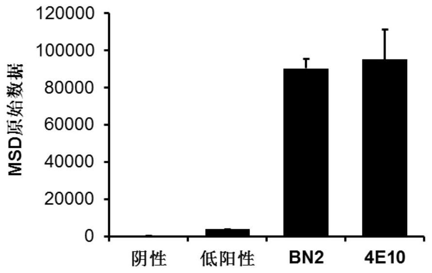 A broad-spectrum neutralizing antibody against HIV and its preparation method and application