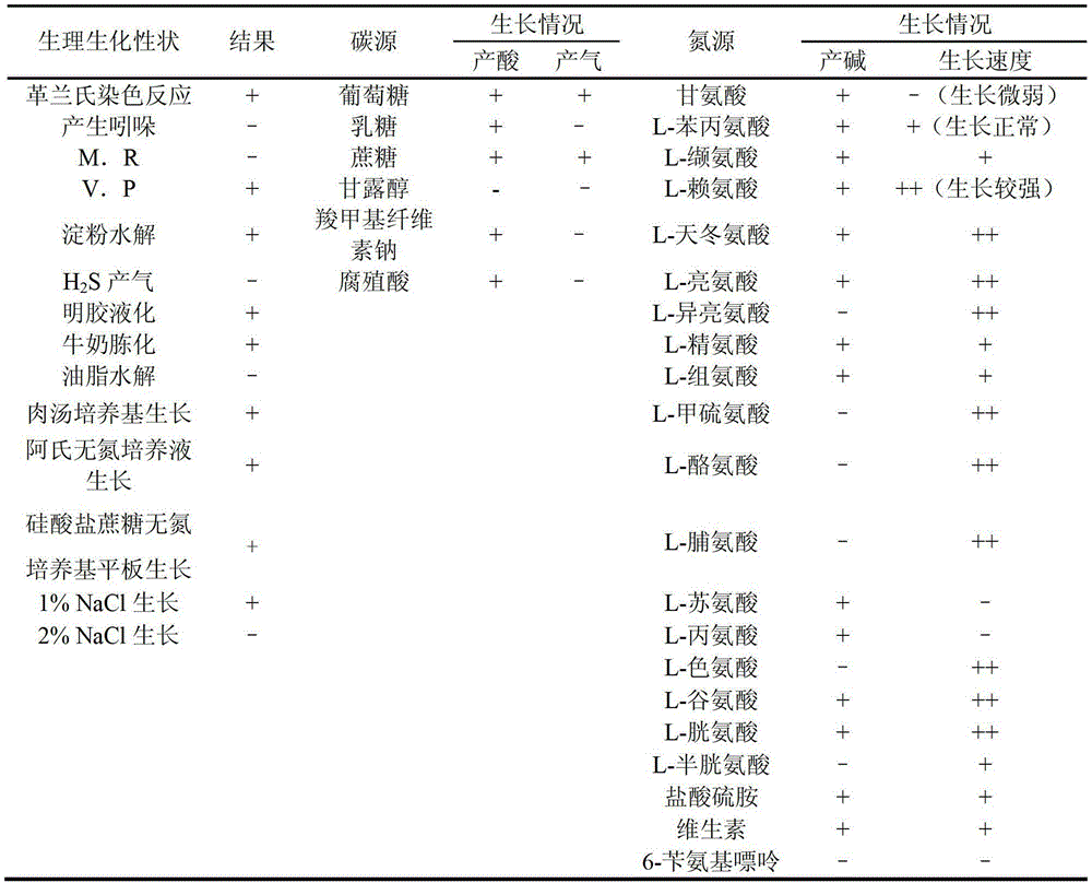 Paenibacillus terrae biological agent and application thereof in agriculture