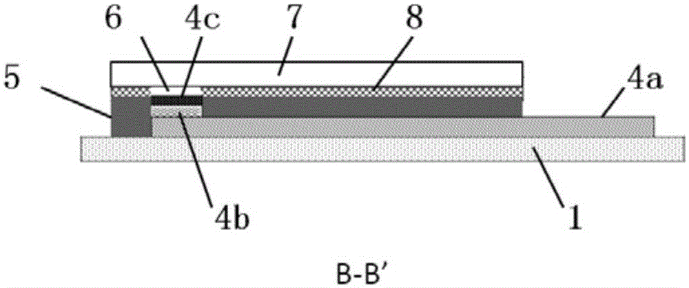 Graphene-modified lactic acid biosensor and preparation method thereof