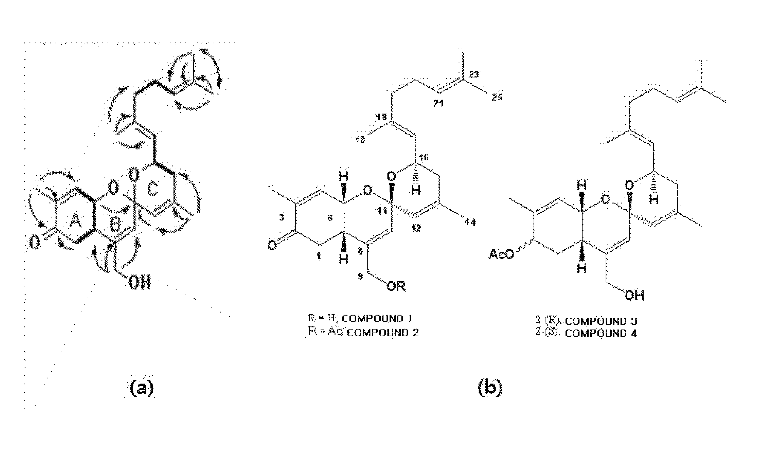 Compound with spiro chiral carbon backbone, preparation method thereof, and pharmaceutical composition containing the same