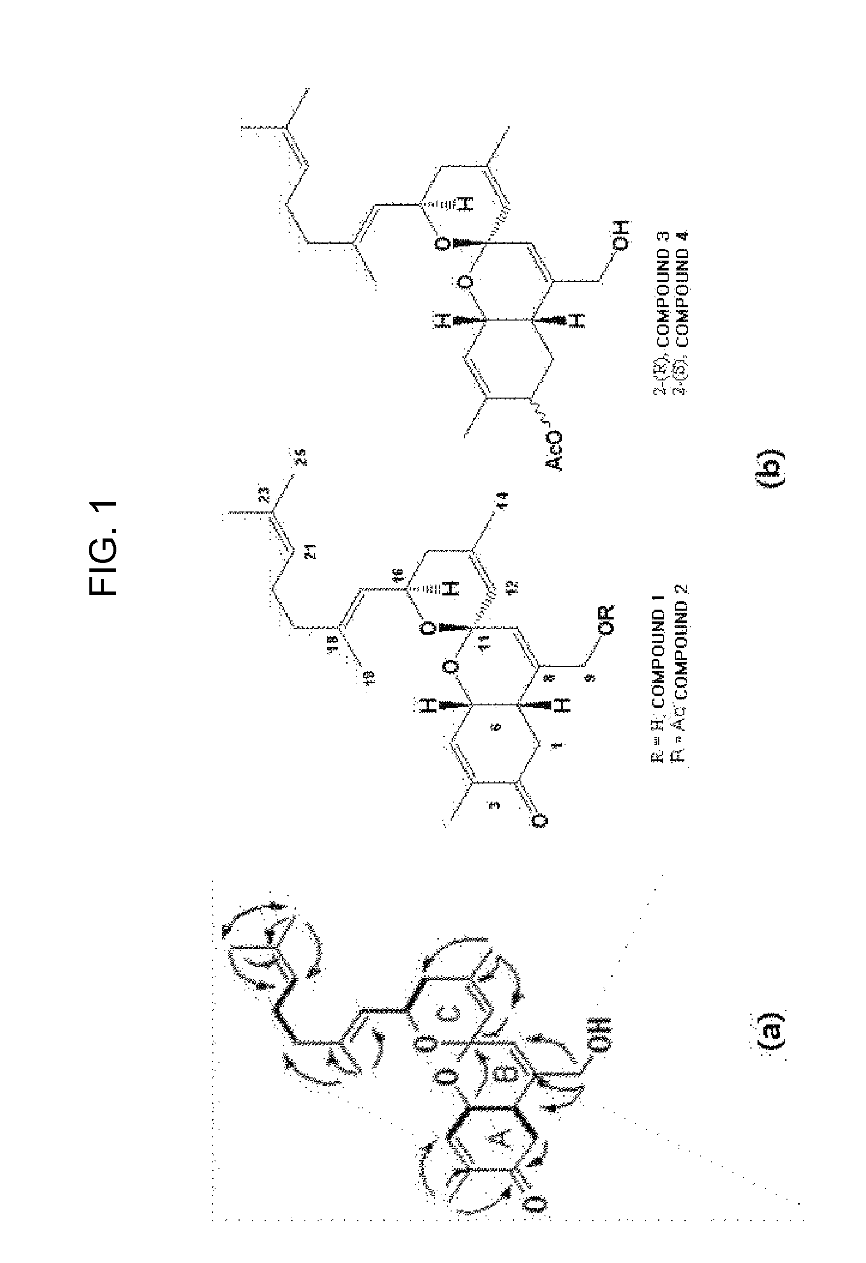 Compound with spiro chiral carbon backbone, preparation method thereof, and pharmaceutical composition containing the same