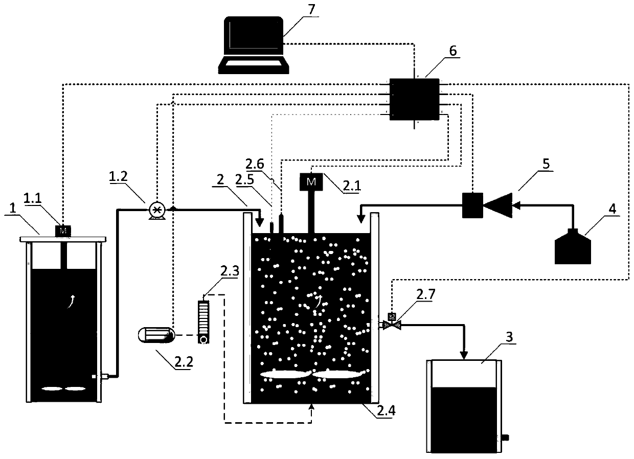 Method for quickly starting shortcut nitrification of urban domestic sewage through hydroxylamine hydrochloride intervention