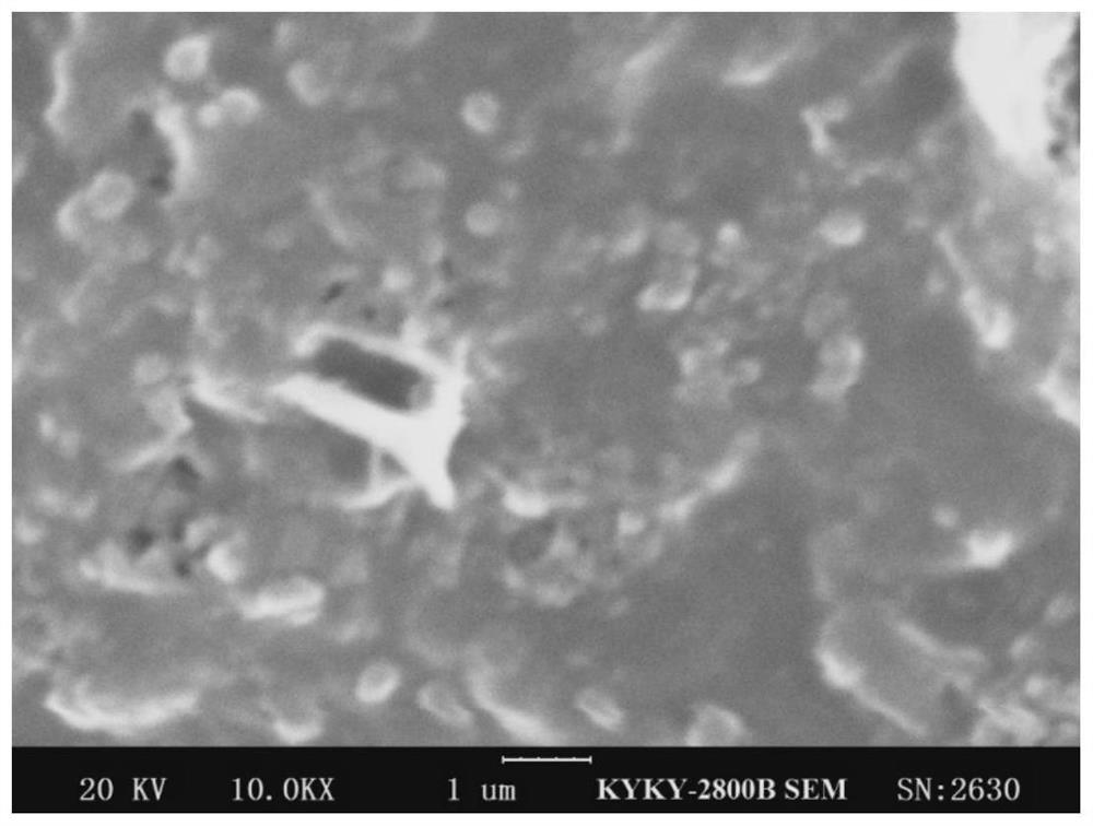 Preparation method of nanocellulose hollow microspheres and coating material of nanocellulose hollow microspheres