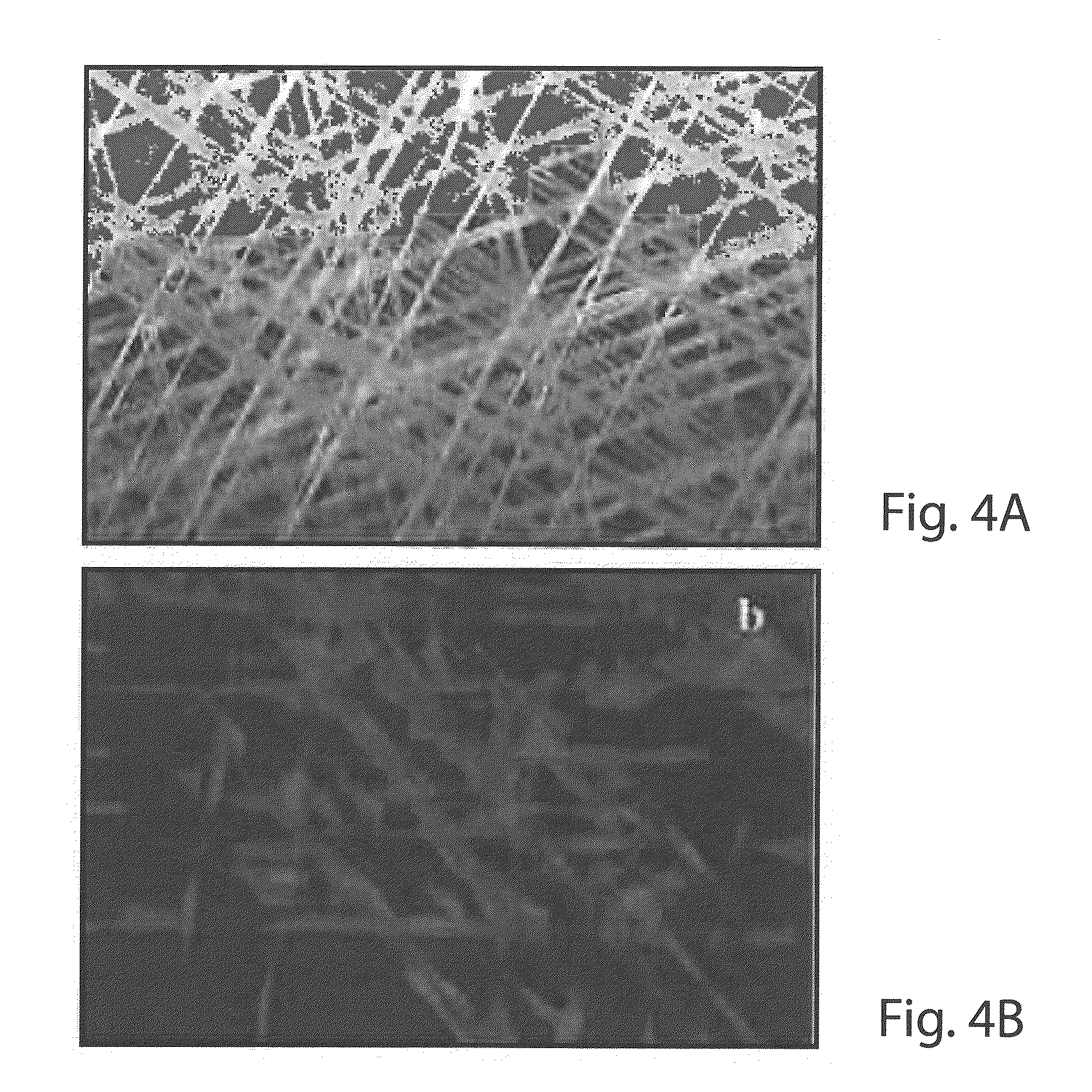 3D Biomimetic Platform